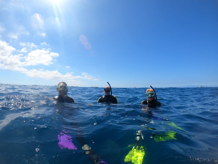 Tenerife Snorkeling boat trip in a Turtle Habitat - Who This Tour Suits Best (and Who Should Rethink It)