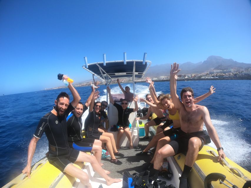 Tenerife Snorkeling boat trip in a Turtle Habitat - Price and Value: How $42 Makes Sense for What You Get