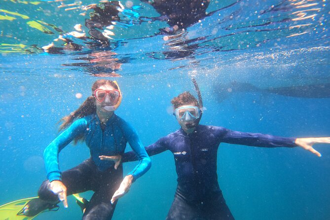 Tenerife Snorkeling Tour in turtle habitat - Included Items That Make the Tour Feel Like a Full Package