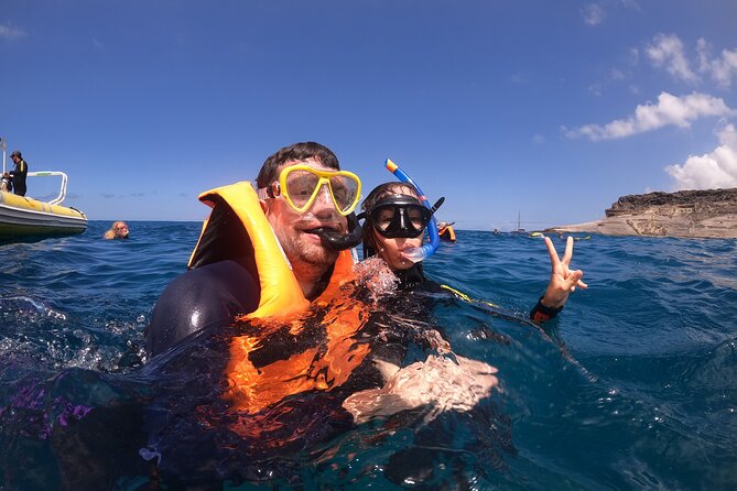 Tenerife Snorkeling Tour in turtle habitat - The Speedboat Ride: Quick to the Water, With Dolphin-Farm Scanning