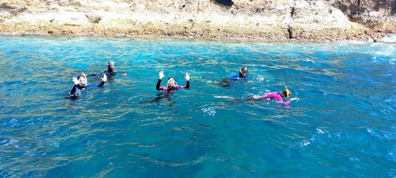 Terceira Island: Ilhéu das Cabras Boat Tour + Snorkeling - Wildlife viewing without the stress
