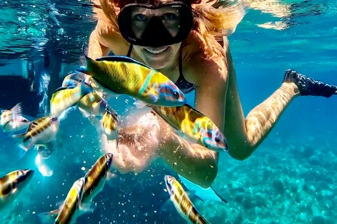The best Boat Tour from Tropea to CapoVaticano, max 12 passengers - Formicoli Beach Snorkeling, Sea Urchin, and the Roman-Port Feel
