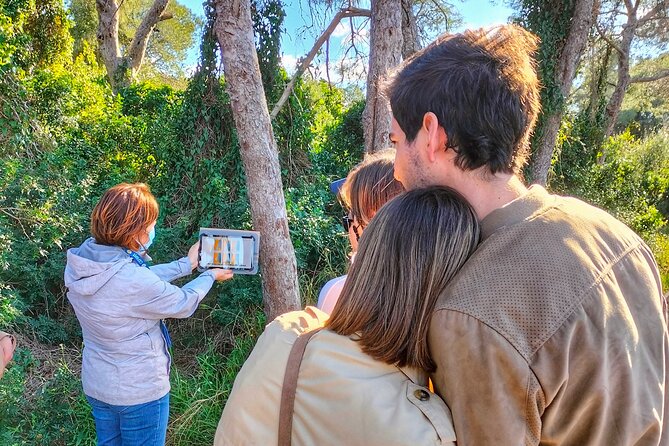 The Original Albufera Tour: Barraca, Boat Ride & Local Guide - Key highlights to know before you go