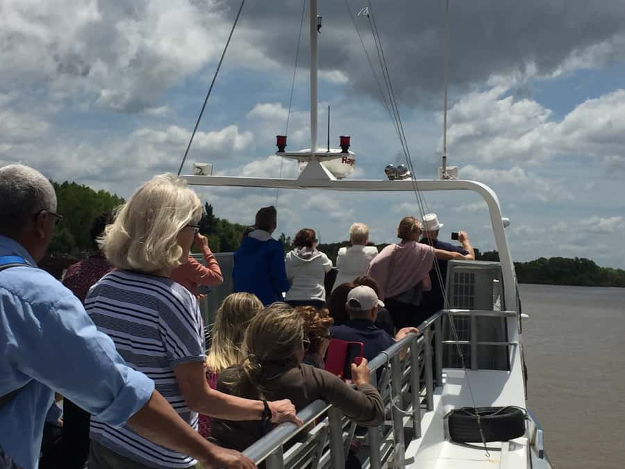 Tigre Delta: Half-Day Tour and Boat Trip - Key highlights at a glance
