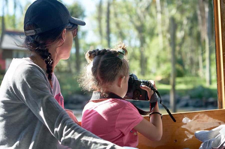 Tigre: River Delta Panoramic Boat Tour - Tigre Delta by boat: the quick version that actually feels like a day out