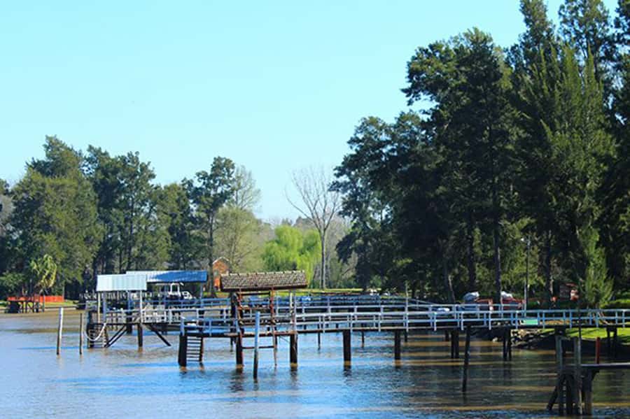 Tigre: River Delta Panoramic Boat Tour - Panoramic views: the deck setup and how to choose your spot