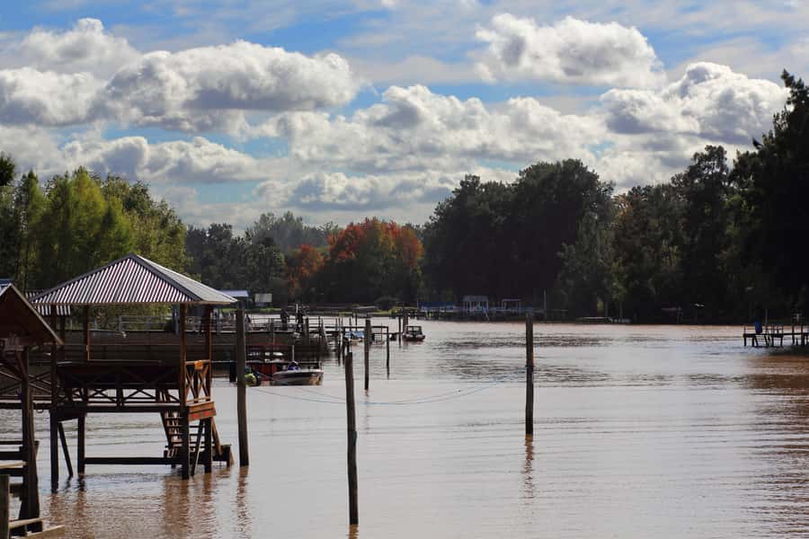 Tigre: River Delta Panoramic Boat Tour - The 1-hour route: what you’ll actually see as the boat moves