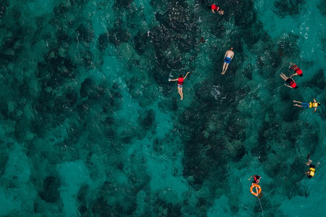 Tobago Buccoo Reef Glass Bottom Boat Tour - Group size and boat comfort: what “up to 20” means