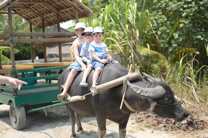 Traditional Cooking Class with Basket Boat Ride and market Tour - Hoi An in Four Hours: Why This Tour Works