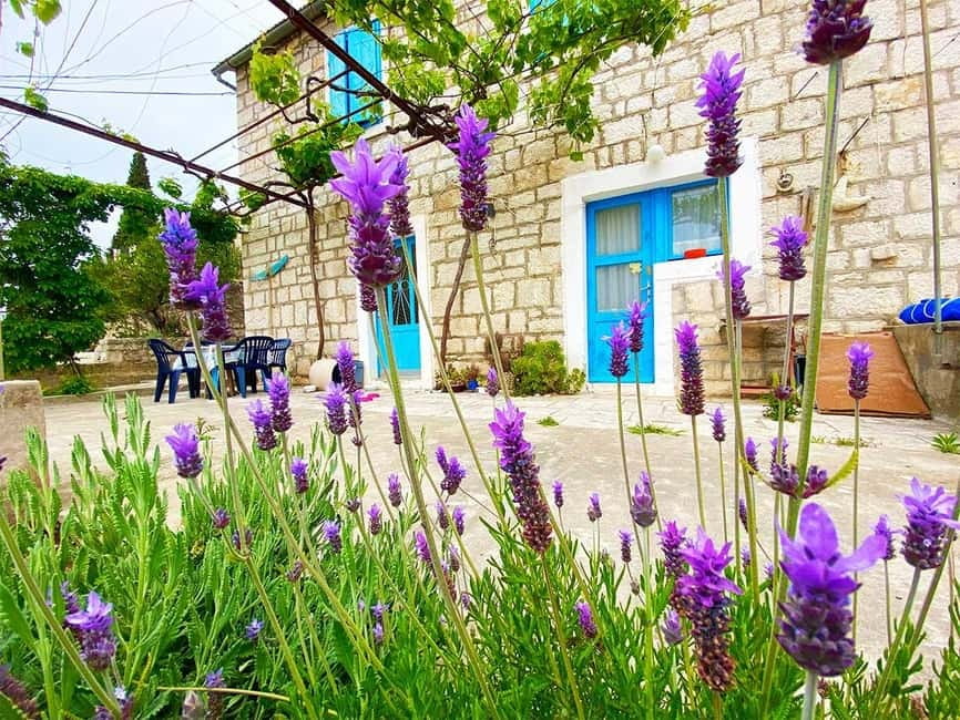 Trogir: Blue Lagoon, Maslinica, and Solinska Bay Boat Tour - Who This Tour Fits Best (And Who Should Skip It)
