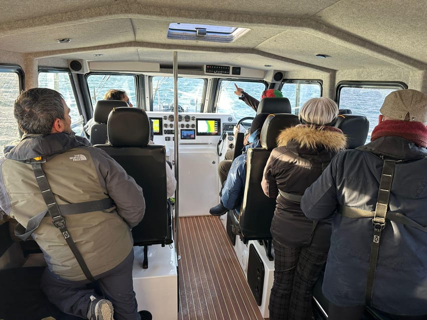 Tromsø: Orca and Whale Watching comfort heated boat Trip - On the water: terrace views, comfort, and toilet access