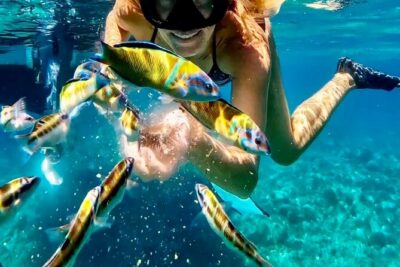 Tropea. Your Private Sea Adventure. Max 10 Guests. Top quality - The 4-Hour Route: A Coast of Short Stops and Big Water Time