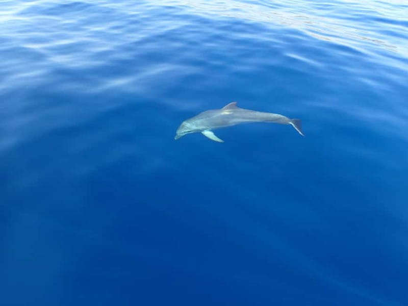 Tucepi: Snorkeling Boat Tour at the Makarska Riviera - Price and Value: What $53 Buys You (and What It Doesn’t)