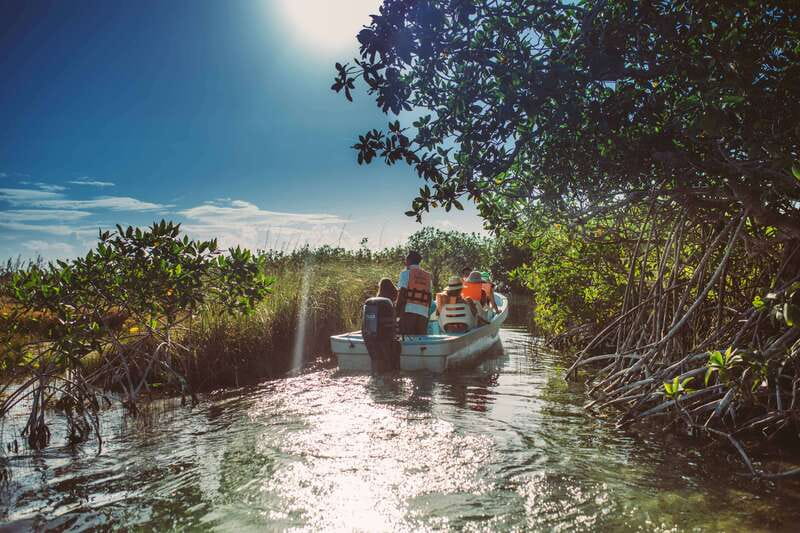 Tulum: Mayan Ruins & Sian Kaan Tour with Boat Ride and Lunch - The food break: a Mexican lunch that actually earns its spot