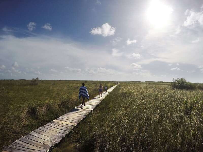Tulum: Mayan Ruins & Sian Kaan Tour with Boat Ride and Lunch - Price and logistics: what you pay for with $169