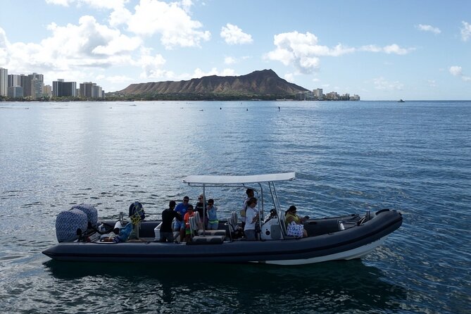 Turtle Canyon Snorkel: Semi Private Boat Tour - What You Might See Besides Turtles