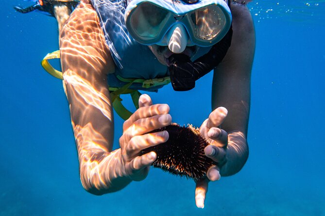 Turtle Canyon Snorkel: Semi Private Boat Tour - The Semi-Private Promise: Small Boat, Big Site