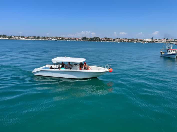Umag: Snorkeling & dolphinwatching morning boat tour - Snorkeling off Zambratia: the stony reef spot and what to expect