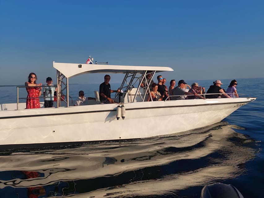 Umag: Snorkeling & dolphinwatching morning boat tour - Dolphins are wild: how to set your expectations (without killing the fun)
