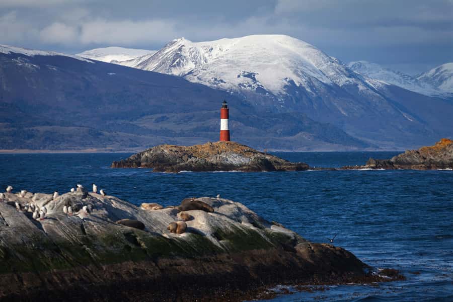 Ushuaia: Beagle Channel Boat Tour and Penguin Experience - Ushuaia Penguins Plus the Beagle Channel: The Real Appeal