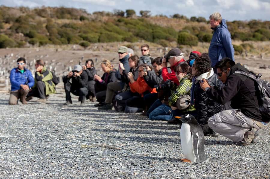 Ushuaia: Beagle Channel Boat Tour and Penguin Experience - What to Pack and How to Stay Comfortable in Patagonia Wind