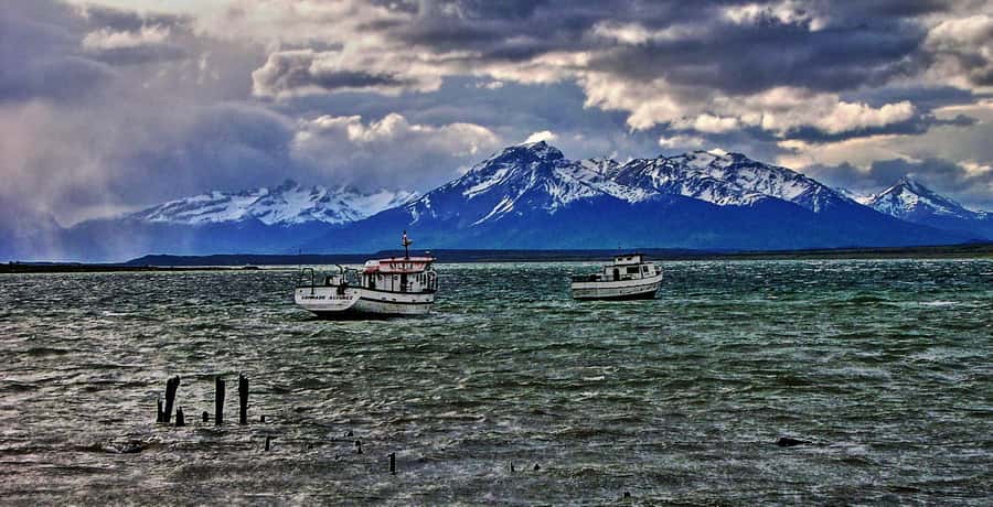 Ushuaia: Beagle Channel Boat Tour and Penguin Experience - How the Day Flows: Two Possible Orders, One Big Wildlife Goal