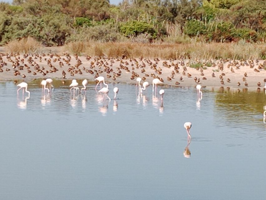 Valencia: Albufera Jeep and Boat Tour - Price and value: is $112 for 4 hours a good deal?