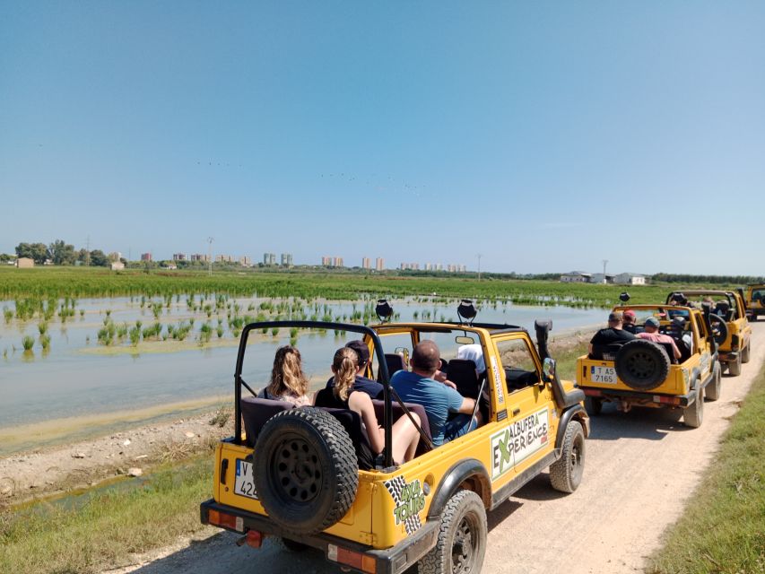 Valencia: Albufera Jeep and Boat Tour - Who this Jeep-and-boat tour fits best