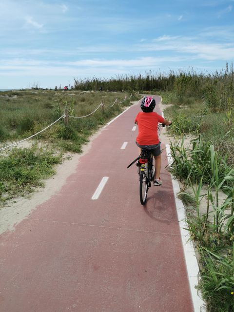 Valencia: Albufera Natural Park Bike and Boat Tour - Key Takeaways Before You Go