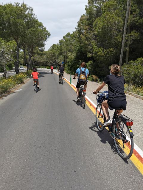 Valencia: Albufera Natural Park Bike and Boat Tour - On the Albuferenc: A 100% Electric Canal Ride With the Bird-and-Rice Story