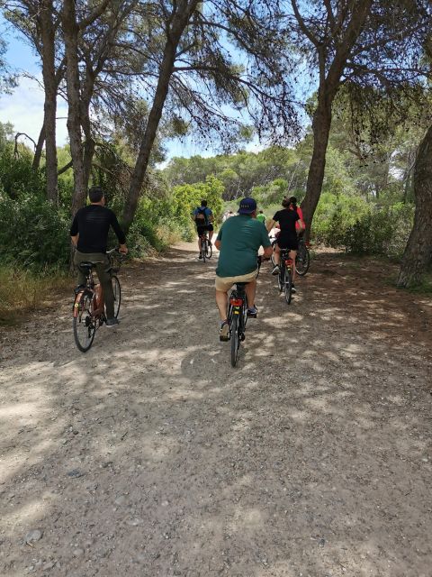 Valencia: Albufera Natural Park Bike and Boat Tour - Practical Stuff That Can Make This Tour Feel Easy or Hard