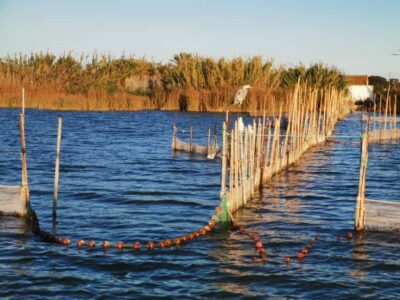 Valencia: Guided Lake Albufera Boat Ride and Barraca Tour - Getting to Paseos en Barca Albufera Rosa y Tonet (and not stressing)
