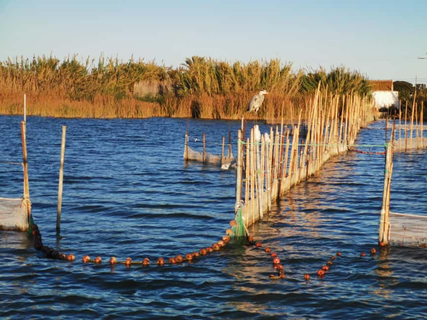 Valencia: Guided Lake Albufera Boat Ride and Barraca Tour - Getting to Paseos en Barca Albufera Rosa y Tonet (and not stressing)