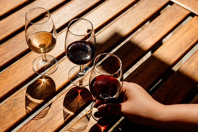 Valley of the Douro and Amarante Wine Gastronomy and Boat Tour - Quinta de São Luís port tasting: why a vineyard visit matters