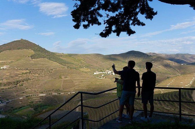 Valley of the Douro and Amarante Wine Gastronomy and Boat Tour - Pinhão and the Douro boat cruise: the heart of the day