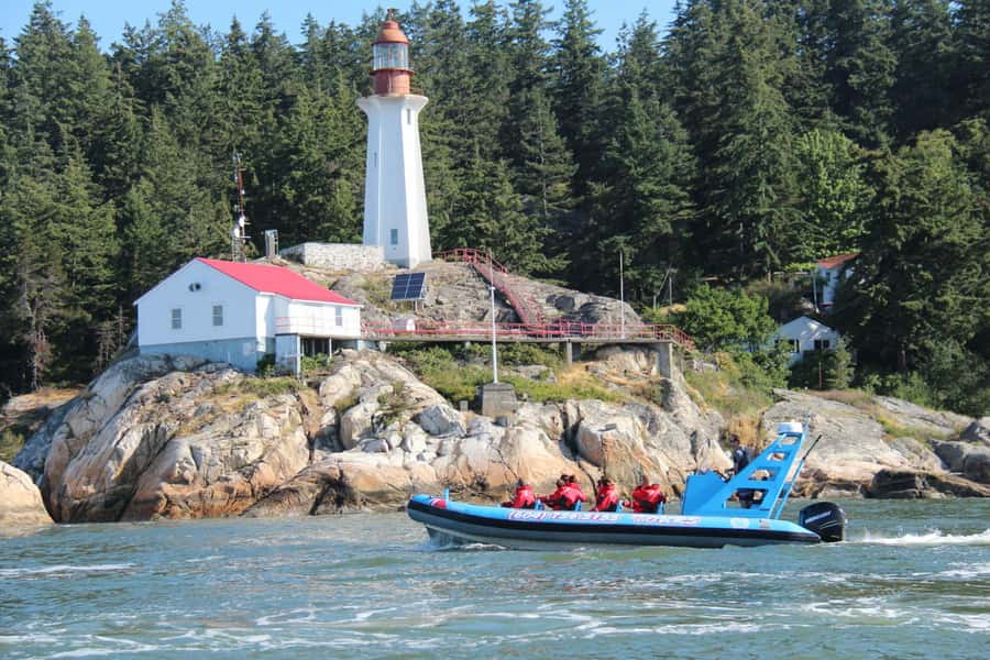 Vancouver: City and Seal Boat Tour - Where You Meet: Granville Island to Boatlift Lane
