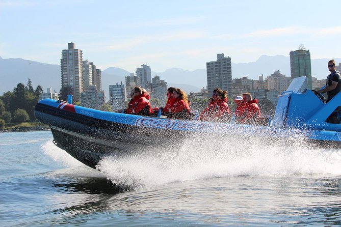 Vancouver City and Seal Colony Scenic Boat Tour - Value check: why $74.35 can make sense for this kind of tour