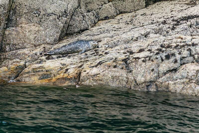 Vancouver: Indian Arm and Granite Falls Zodiac Boat Tour - Why This Zodiac Tour Feels Better Than Looking from Land