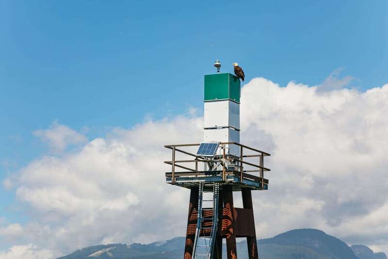 Vancouver: Indian Arm and Granite Falls Zodiac Boat Tour - Indian Arm Fjord: Ocean Air, Wind on Your Face, and a Cooler Pace
