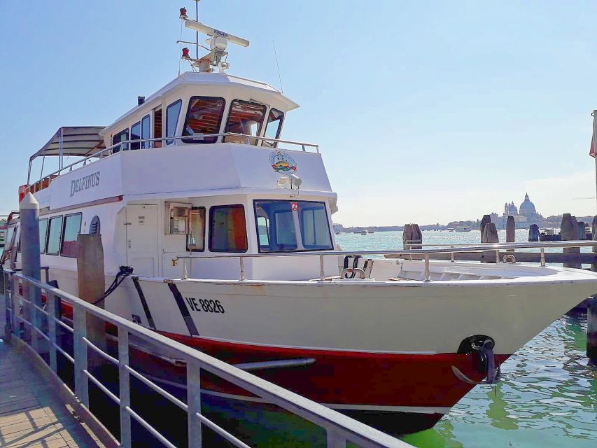 Venice: Murano & Burano Panoramic Boat Tour w/ Glassblowing - A smart half-day plan: Murano plus Burano from Castello