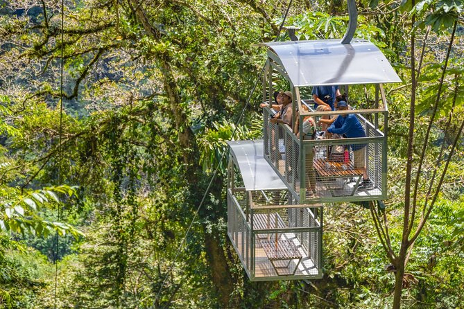 Veragua Rainforest Walk, Tram & Tortuguero Boat Tour. Limon Shore Excursion - Puerto Limón start: a quick cultural warm-up at the pier