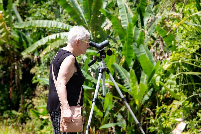 Veragua Rainforest Walk, Tram & Tortuguero Boat Tour. Limon Shore Excursion - Tortuguero Canal boat ride: Puerto Moin waterways and wildlife time