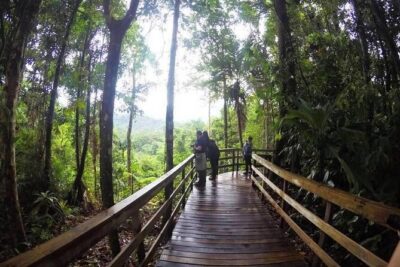 Veragua Rainforest Walk, Tram & Tortuguero Boat Tour. Limon Shore Excursion - Veragua Rainforest Park: tram, 300-year-old trees, and two trail styles
