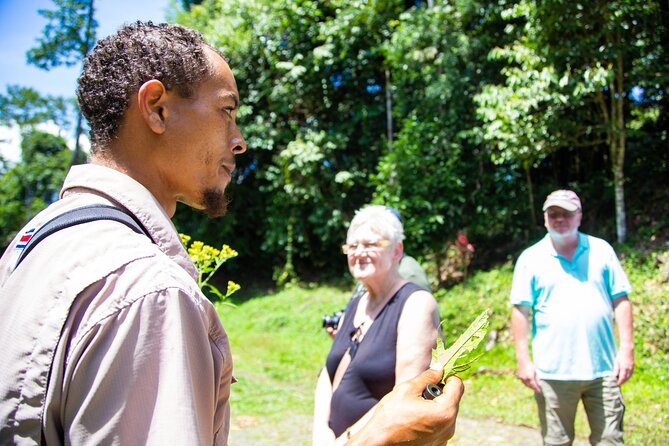 Veragua Rainforest Walk, Tram & Tortuguero Boat Tour. Limon Shore Excursion - Transportation and timing: dirt roads, potential waits, and comfort tips