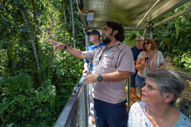 Veragua Rainforest Walk, Tram & Tortuguero Boat Tour. Limon Shore Excursion - Guides and drivers: where this tour earns its 4.6 rating