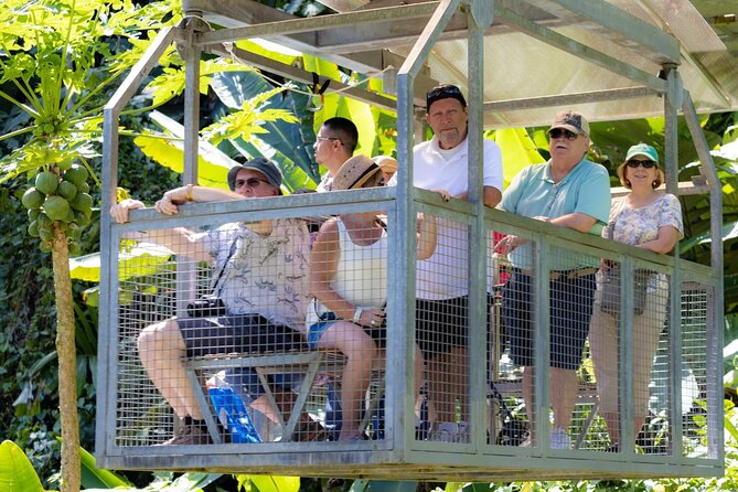 Veragua Rainforest Walk, Tram & Tortuguero Boat Tour. Limon Shore Excursion - Best times and best expectations for wildlife spotting