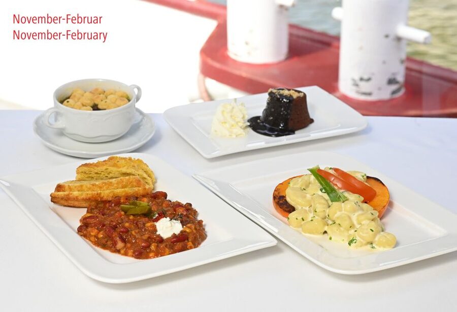 Vienna: Sightseeing Boat Tour with Lunch - From Schwedenplatz to the Danube: Getting Set for a 3.5-Hour Cruise
