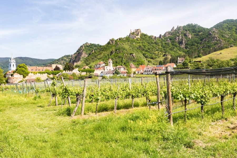 Vienna: Wachau Valley, Melk Abbey Tour with Danube Boat Trip - Meeting point and arrival: Vienna details that prevent stress