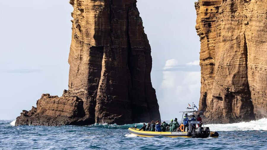 Vila Franca Islet: Bioligist Guided 0% Carbon e-Boat Tour - Who Should Book (and Who Should Skip It)