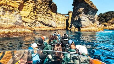 Vila Franca Islet: Bioligist Guided 0% Carbon e-Boat Tour - Why an HPDE Electric e-Boat Changes the Whole Experience